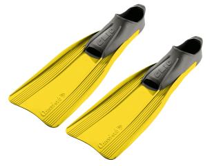 Clio 41/42 Yellow