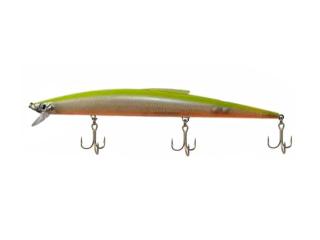 Gudari 170 Chart Minnow