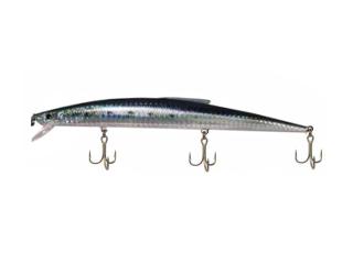 Gudari 170 Real Sardine
