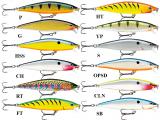 FLAT RAP Size 8 Cm 7 Gr Color CH