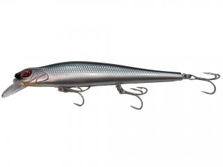 Seabass Minnow Shad